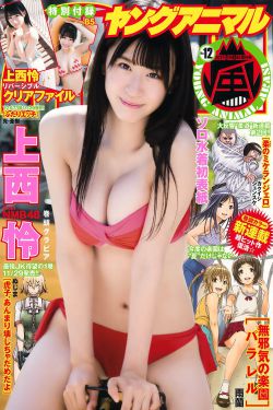 理智派生活电视剧免费观看完整版